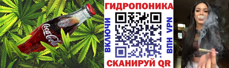 дарнет шоп  Железногорск-Илимский  Еда ТГК конопля 