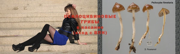 каннабис Алзамай