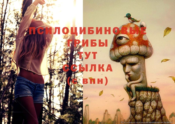 Альфа ПВП Алексеевка