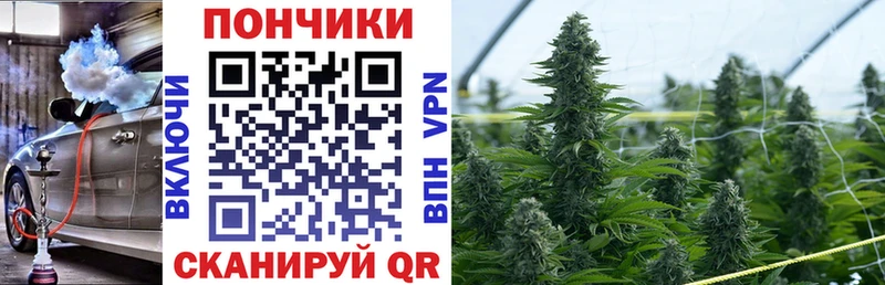 Канабис OG Kush Железногорск-Илимский